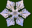 A real snowflake