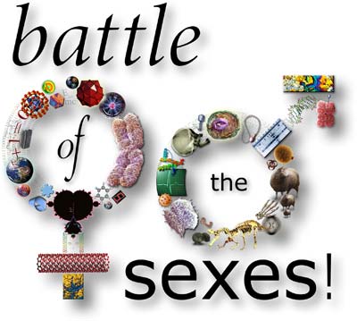 EISF: Battle of the Sexes motif