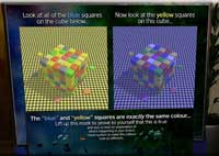 The cube colour illusion