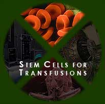 Hot topics in research -- Stem Cells